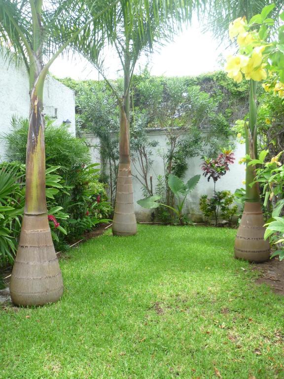 Hostal Haina Cancún Eksteriør billede