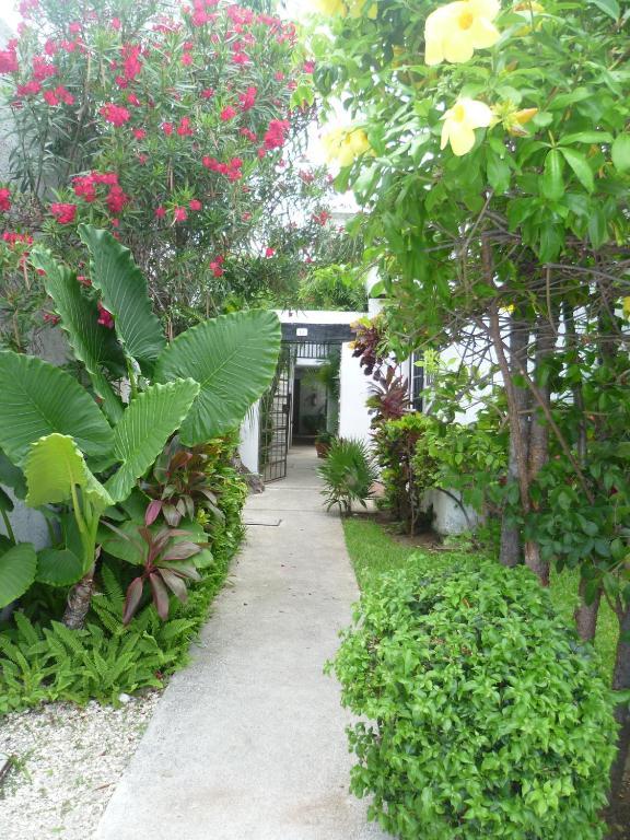 Hostal Haina Cancún Eksteriør billede