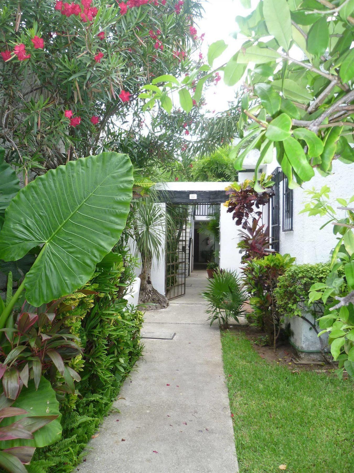 Hostal Haina Cancún Eksteriør billede
