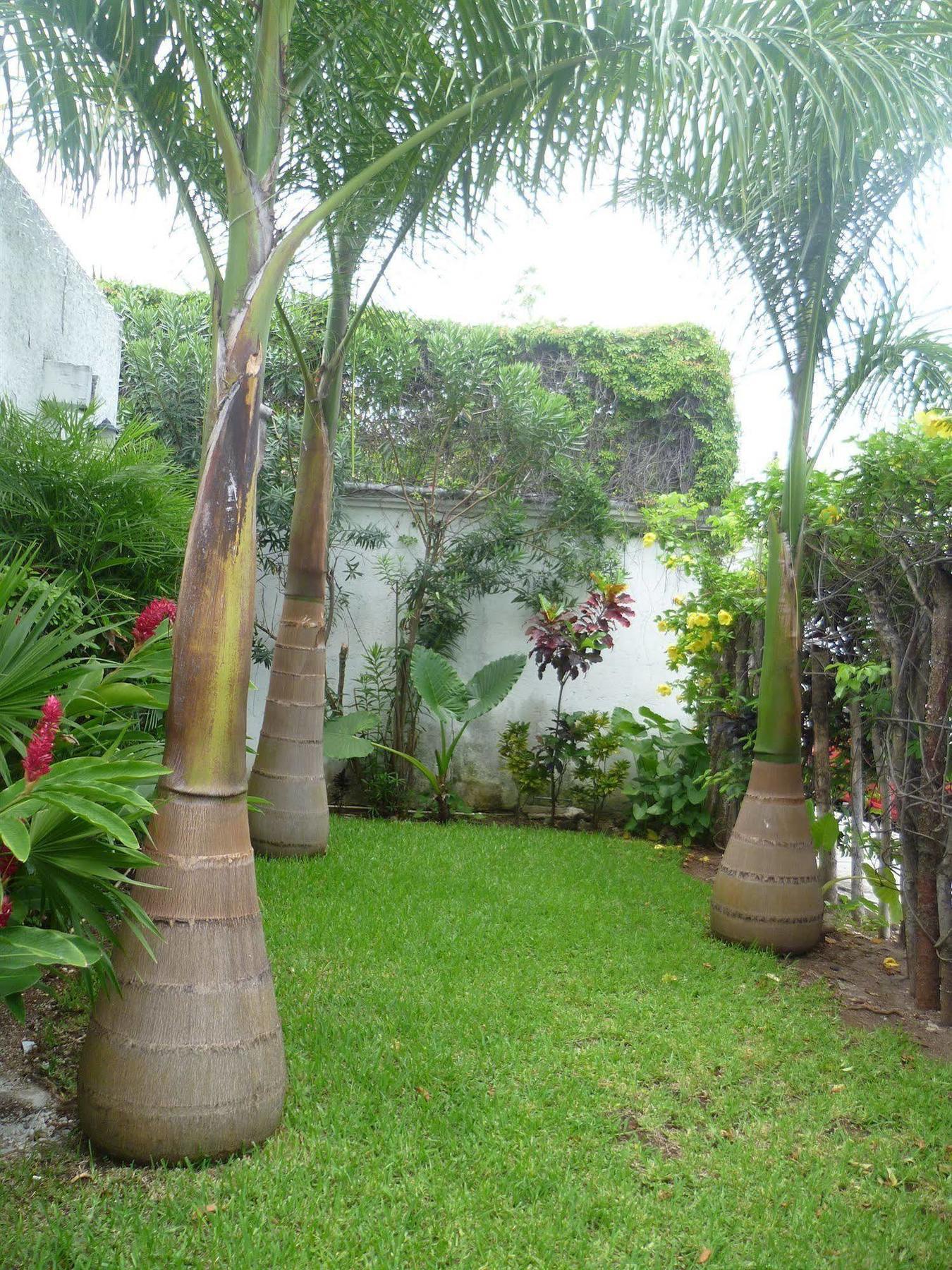 Hostal Haina Cancún Eksteriør billede